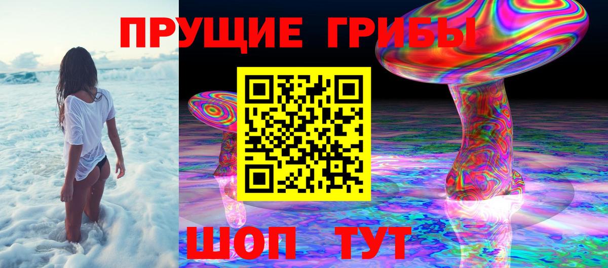 Псилоцибиновые грибы Cubensis Люберцы